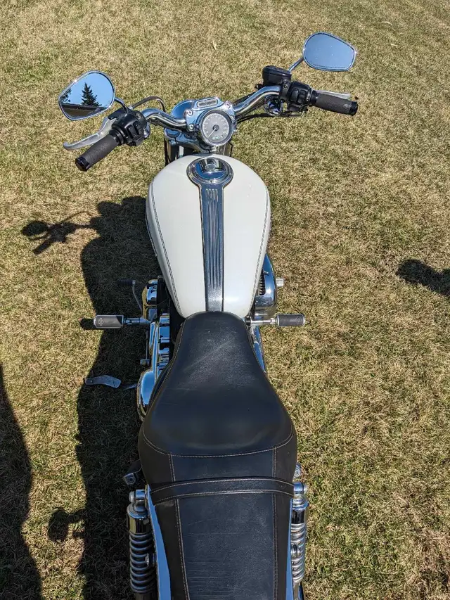 2006 Harley Davidson 1200 Sportster in Street, Cruisers & Choppers in St. Albert - Image 6