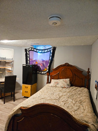 Room rent in 2 bedroom legal basement