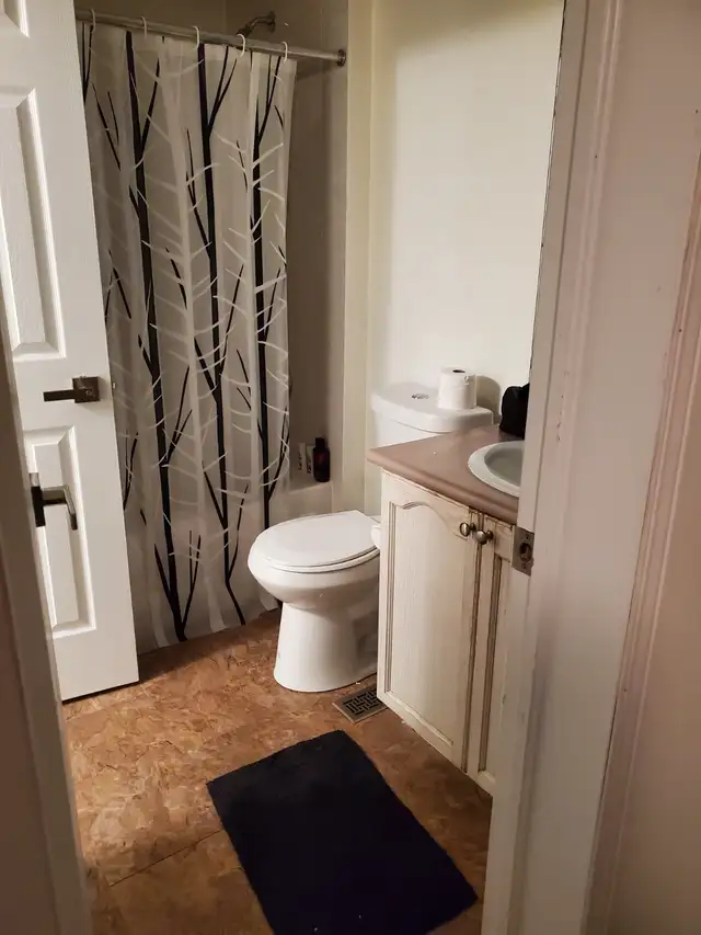 Private Spacious Room For Rent