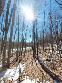 Terrain à vendre Val-des-Monts - aucune taxe à ajouter au prix