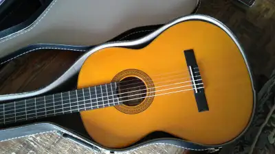 Vester Guitar w Case  and Seiko Tuner, View more