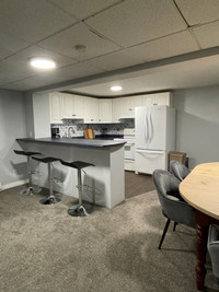 Summer Rental- Furnished 1bedroom Basement Apartment