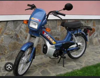 In search of gas powered moped 