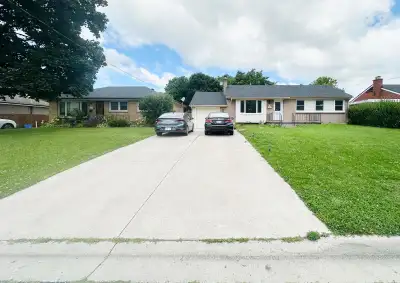 house for rent