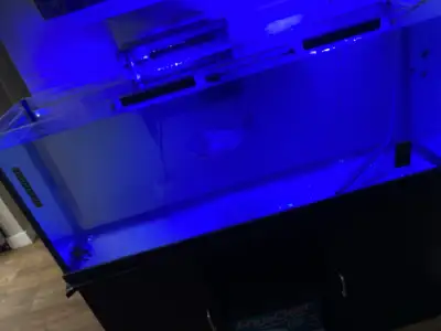 55 gallon tank and stand with Piranha, View more