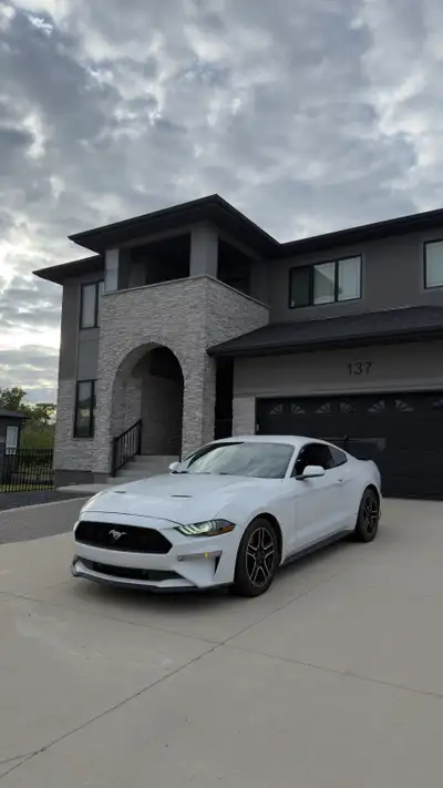 2019 Ford Mustang Safetied and Clean tittle •Cruise Control •LED headlights with sequential tail lig...