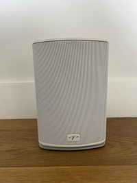 Paradigm Speaker-PW600