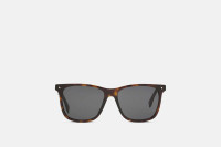 Brand new Fendi Sunglasses