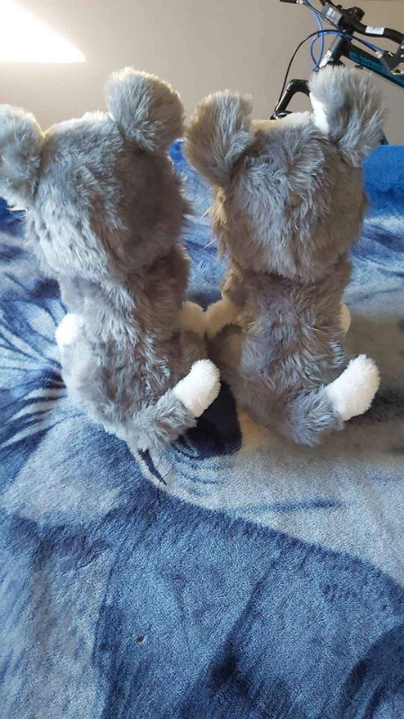 2 2017 Hasbro Furreal Electronic Siberian Huskies in Toys & Games in Hamilton - Image 2