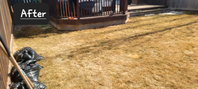 Dog waste removal & yard cleaning services available  in Animal & Pet Services in Edmonton - Image 3