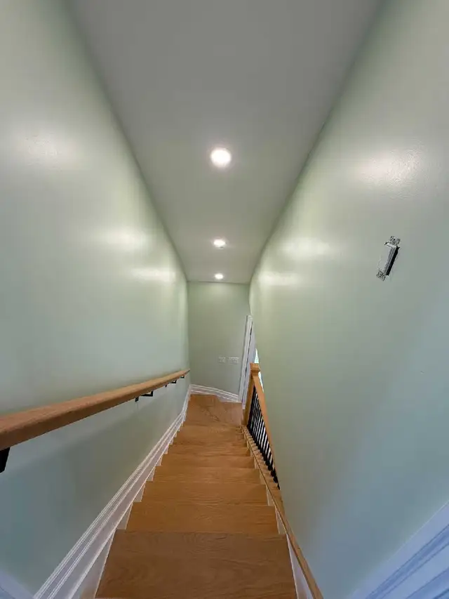 DRYWALL • TAPING • PLASTER • PAINT 524412503186493444