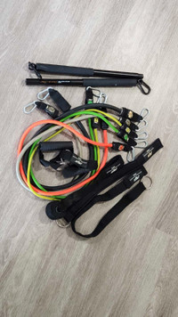 PTP total resistance band home workout system with bionic bar