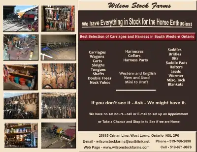 We have a good selection of New and Used Horse related items in stock - Carts - Carriages - Harness...