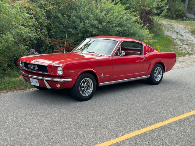 1966 Ford Mustang Fastback numbers matching in Classic Cars in City of Toronto - Image 2