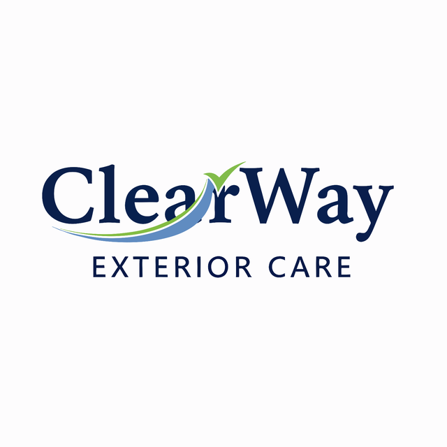 Gutter and Window Cleaning