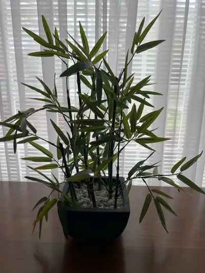 Artificial Plant , View more
