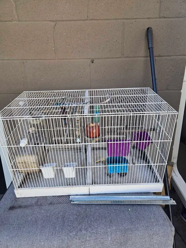 bird cage532565500751390722