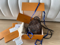 Authentic Like New Louis Vuitton Palm Springs Mini Backpack