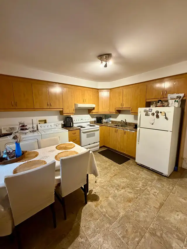 31/2 Nouveau -Rosemont in Long Term Rentals in City of Montréal - Image 8