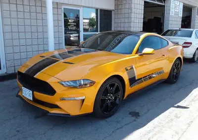 Custom Vehicle Stripes Decals Graphics Wraps For all Makes and Models. Contact for Pricing