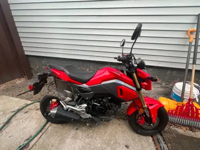 Barely broken in Honda Grom 125. It’s in great condition. Runs and rides perfectly. I can safety it...