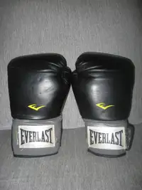 Everlast 16oz. Boxing Gloves.