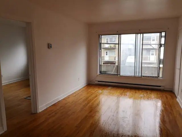 Appartement 6 1/2 grand, ensoleillé, nouvellement rénové!