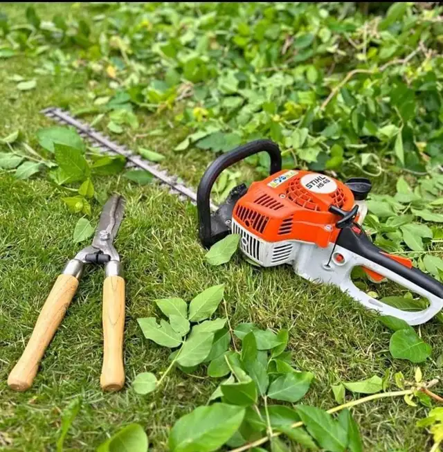 LANDSCAPE MINTEANCE.461434999213936643