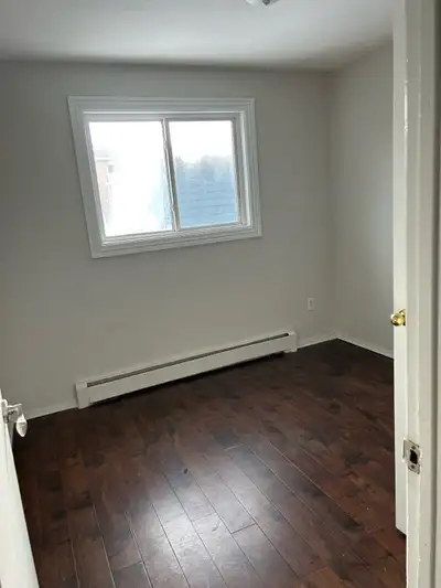 One private bedroom is available from 1st of January for a vegetarian girl in two bedroom apartment...