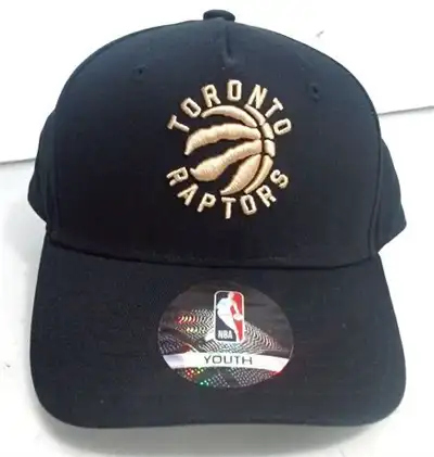NBA HK2BOBCE6 Youth Toronto Raptors Alt Precurved Snapback Hat, View more