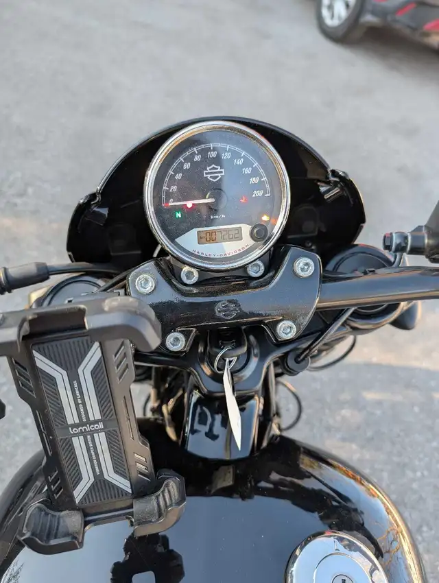 Harley Davidson Street rod 750 in Street, Cruisers & Choppers in Oshawa / Durham Region - Image 5
