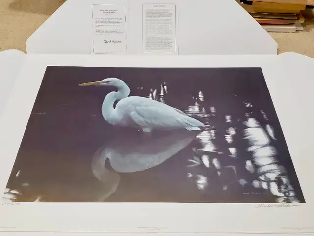 Robert Bateman “Mangrove Shadow – Common Egret” Art Print – $150 in Arts & Collectibles in Downtown-West End - Image 9