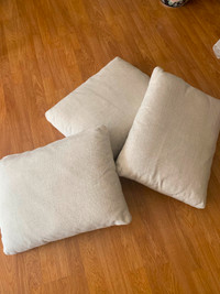 Feather Sofa Pillows