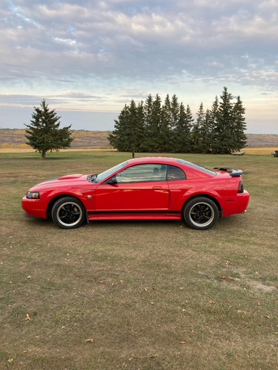 2004 Mustang GT