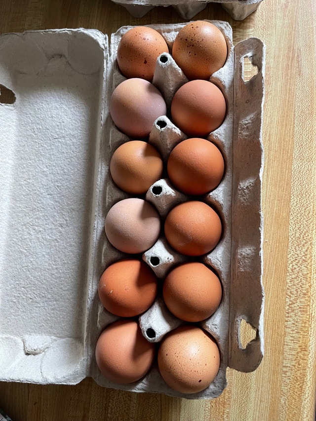 Free run chicken eggs Other Winnipeg Kijiji