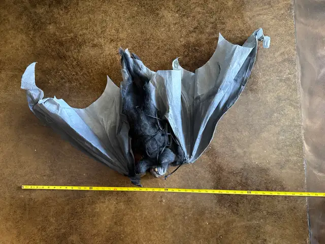 Halloween bat decoration 588277094192271364