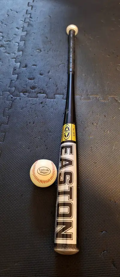 EASTON Youth Metal Baseball Bat 31" 24oz w/ Louisville Slugger B, View more