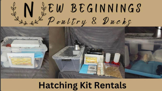 Hatching Kit Rentals in Accessories in La Ronge