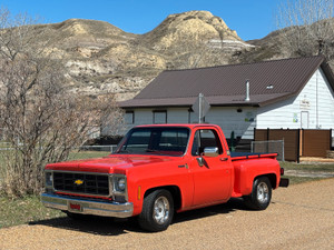 1979 Chevrolet C10 Scottsdale 