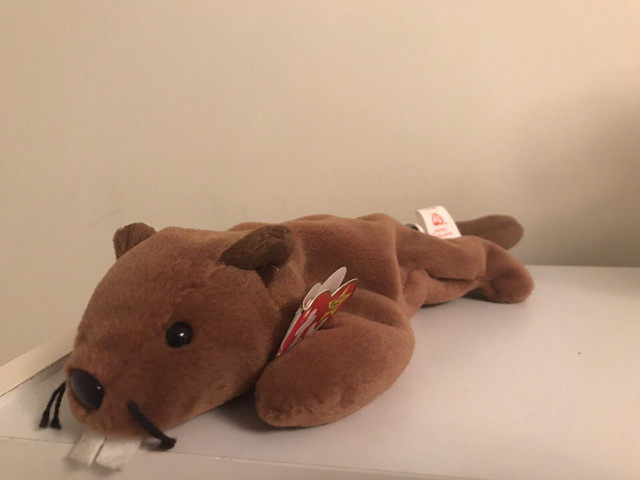 Bucky the Beaver - TY Beanie Baby 4th Gen in Toys & Games in City of Toronto