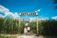 Book Keeper Position at A Maze in Corn