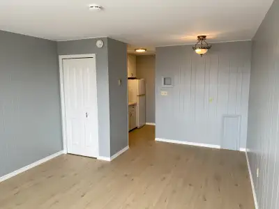 Bachelor/ Studio apartment available Feb 1st, (possibly a bit sooner), in Johnston's River. $516.25...