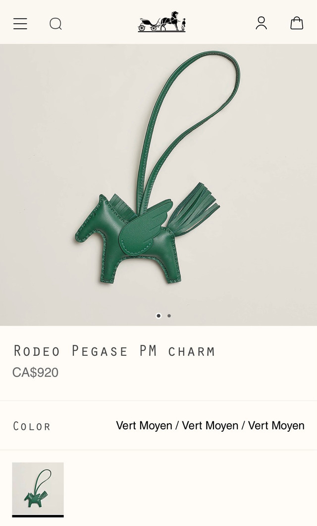 100% Authentic Hermes RODEO PEGASE PM CHARM in Women's - Bags & Wallets in Richmond - Image 3