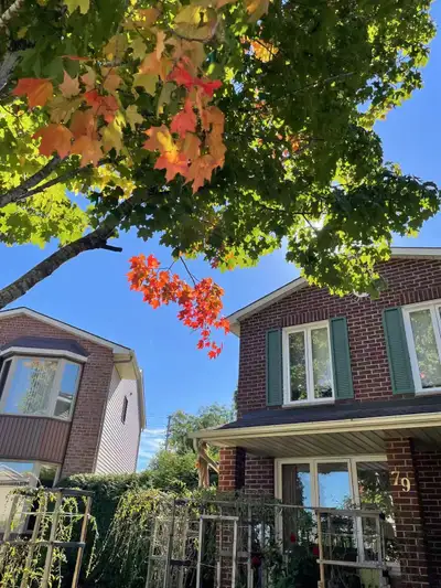 Planning a Trip to Ottawa? We’d love to welcome you! Enjoy your stay in our beautiful home with spac...