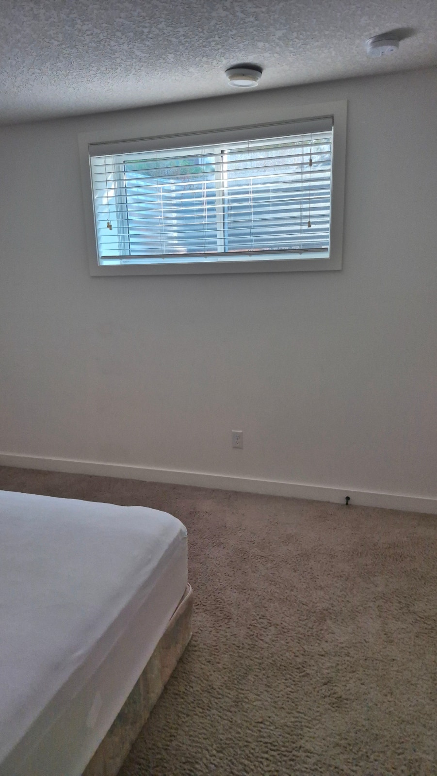 Basement in Townhouse for rent in Silverado 3