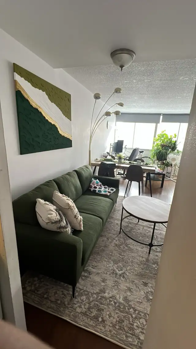 1 Bedroom Apartment Sublease - Ville-Marie, Montréal