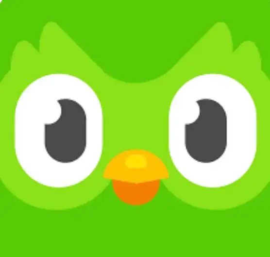 Shared Duolingo membership65436051484675120