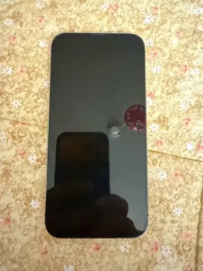 iPhone 13 Pro Max, View more