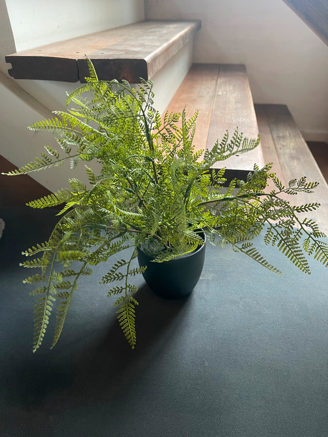 IKEA Plants artificial in Home Décor & Accents in Kamloops - Image 2