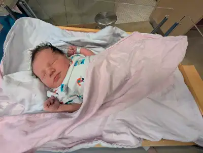 NEW PARENTS NEED HOME FOR HOME ASAP